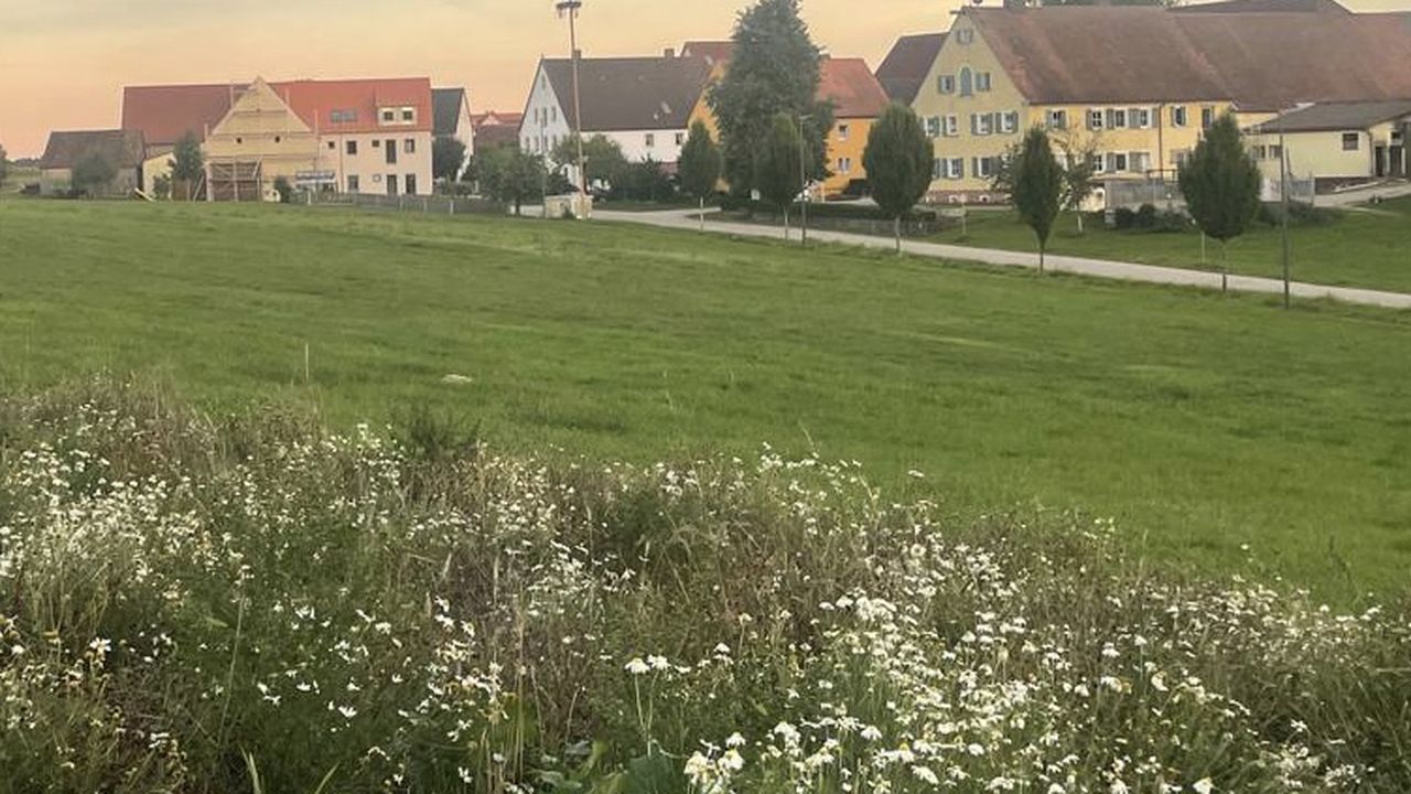 Umgebung Umgebung